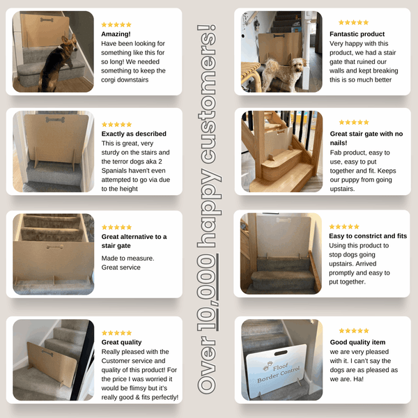 Dog Stopper for Stairs - DogStopper.co